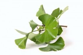 ginkgo biloba fir Erliefnes Erweiderung